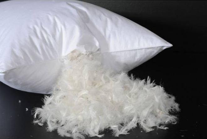 feather-pillow